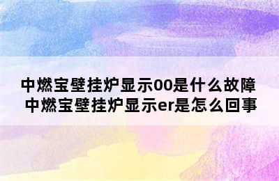 中燃宝壁挂炉显示00是什么故障 中燃宝壁挂炉显示er是怎么回事